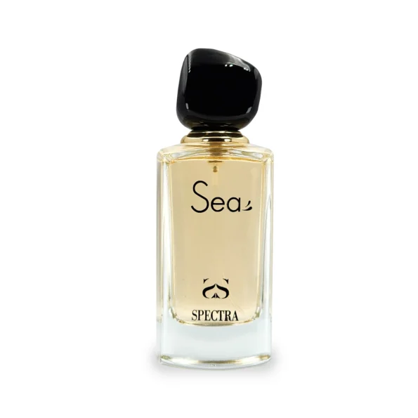 Spectra 036, Spectra Sea, Armani Si